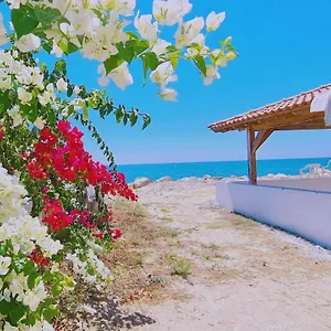 stay-sea-gem-house.larnacahotels.org/